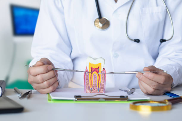 Best Urgent Tooth Repair  in Boalsburg, PA